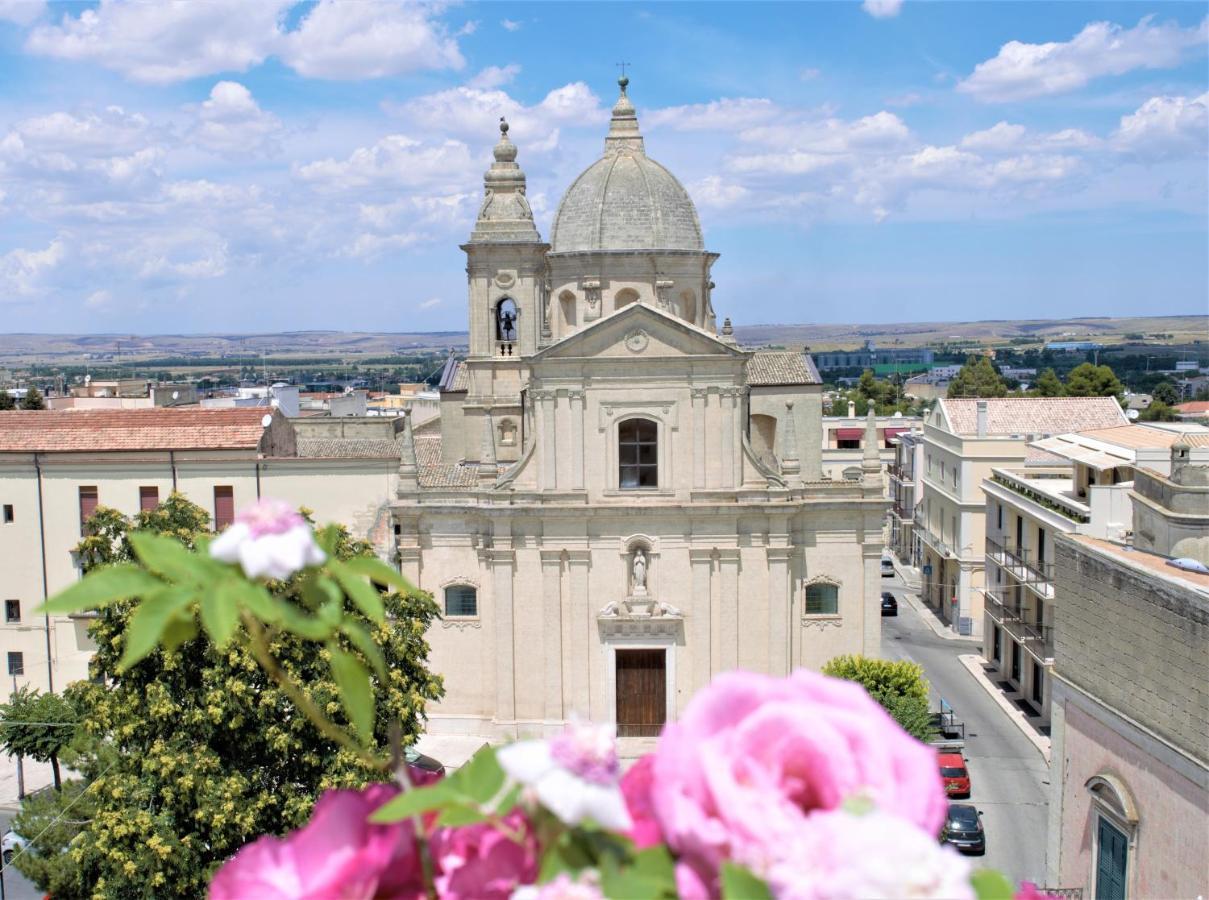 Apartment Cursoli
